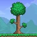 Terraria — легендарная приключенческая песочница бесплатно для iPhone